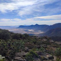 Piketberg landscapes